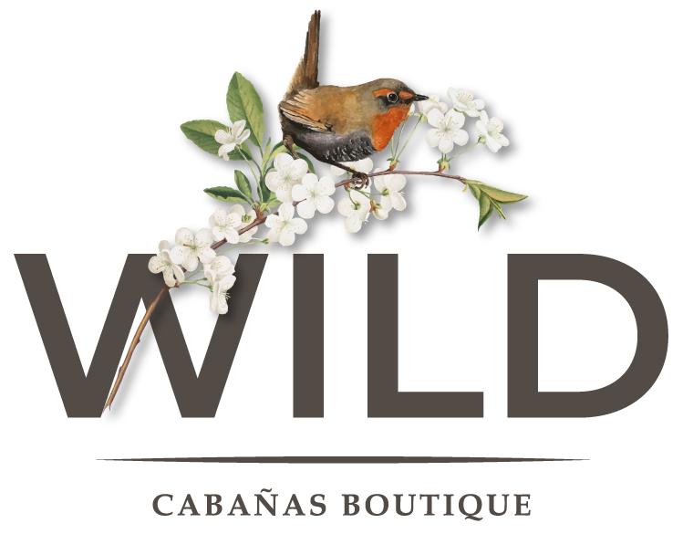 Wild Cabanas