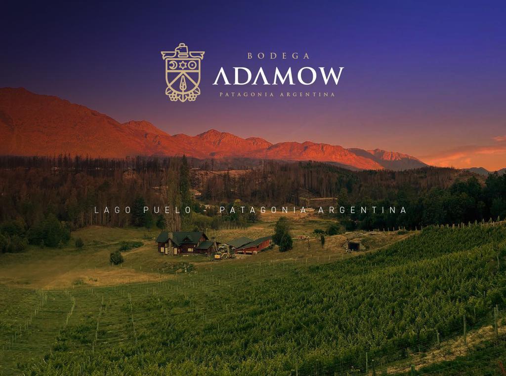 Bodega adamow lago puelo